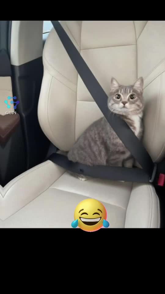 😁😁😁😊😊