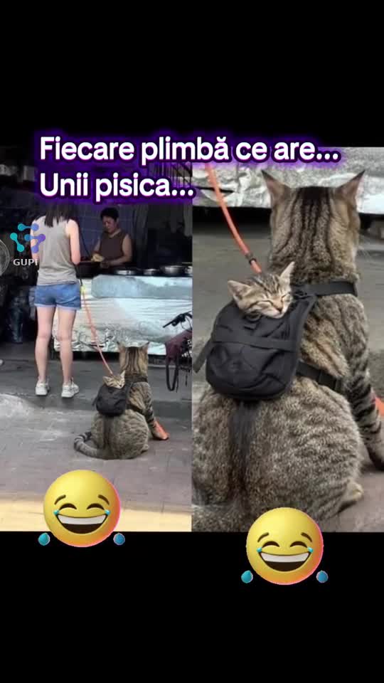 fiecare plimbă ce are...😁😁😁