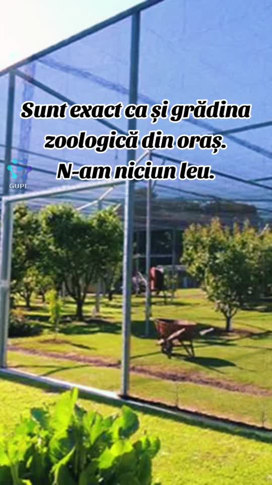 sunt exact ca și grădina zoologică... fără lei...😁😁😁