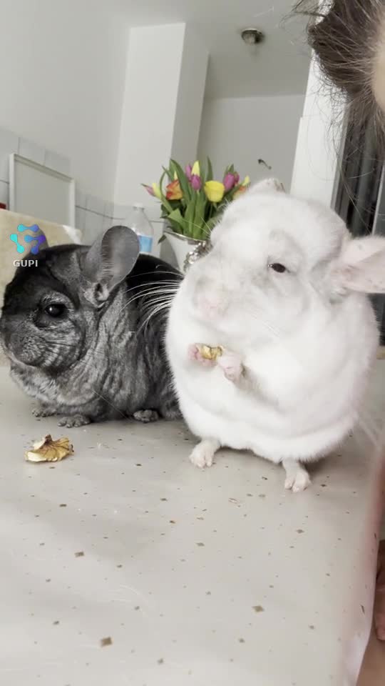 ❤️❤️❤️
