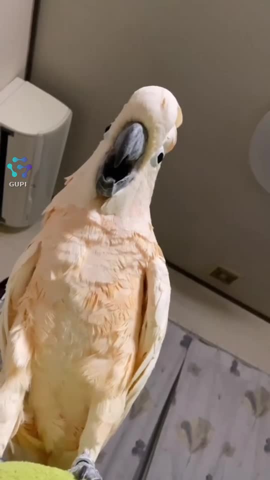 alarm clock😊