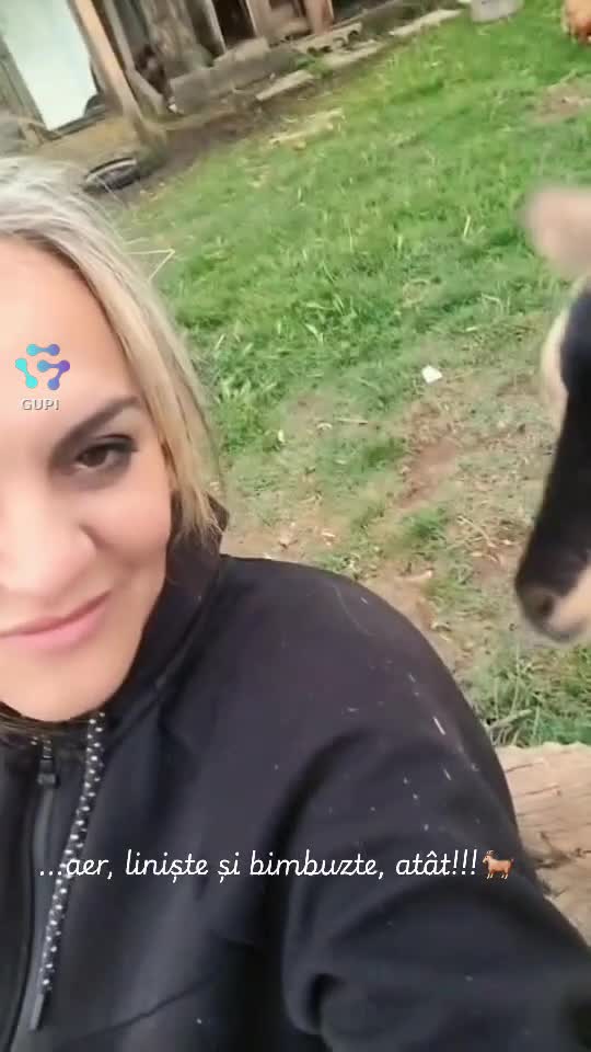 ...aer, liniște și bimbuzte!!!!🐐
  ♎️