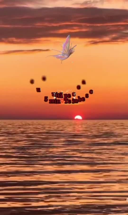 🦋 
 #❤️💙