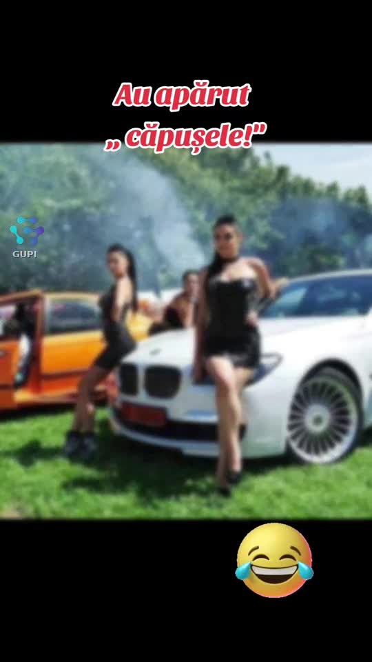 au apărut căpușele...😁😂😁