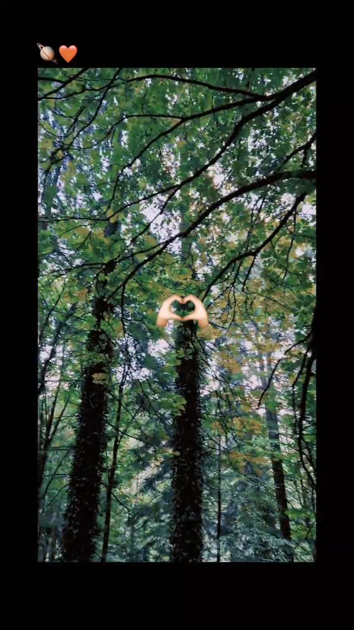 # 🦋