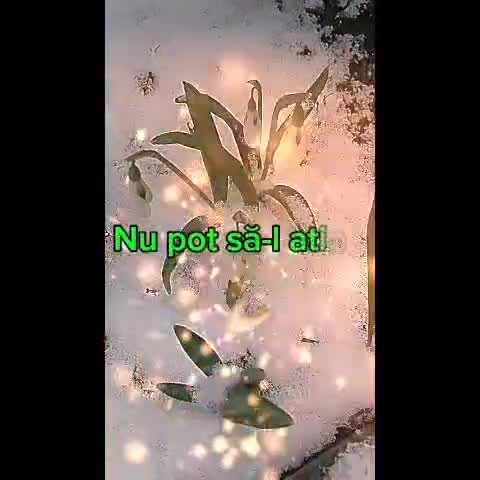 # 🦋