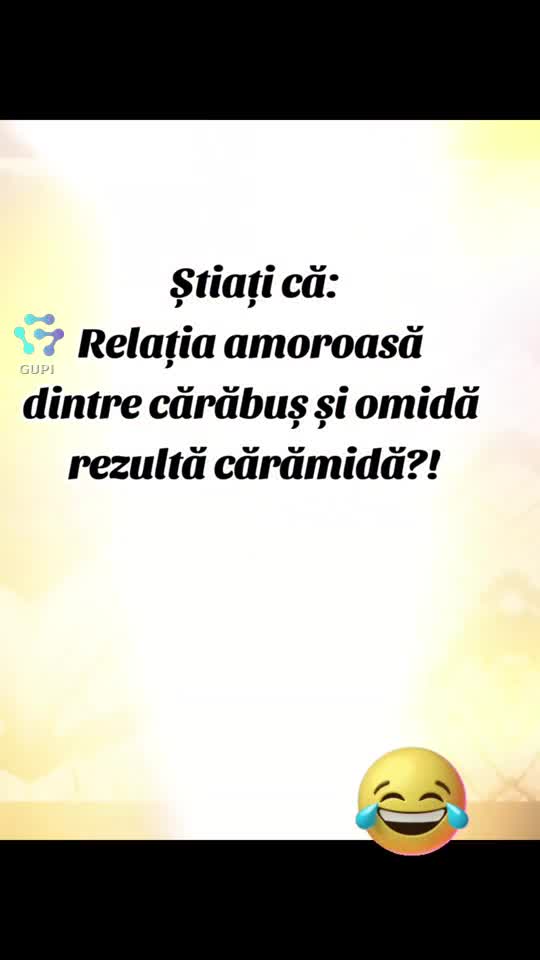 cum a apărut cărămida...😁😂😁