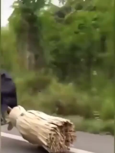 😂😂😂😂😂