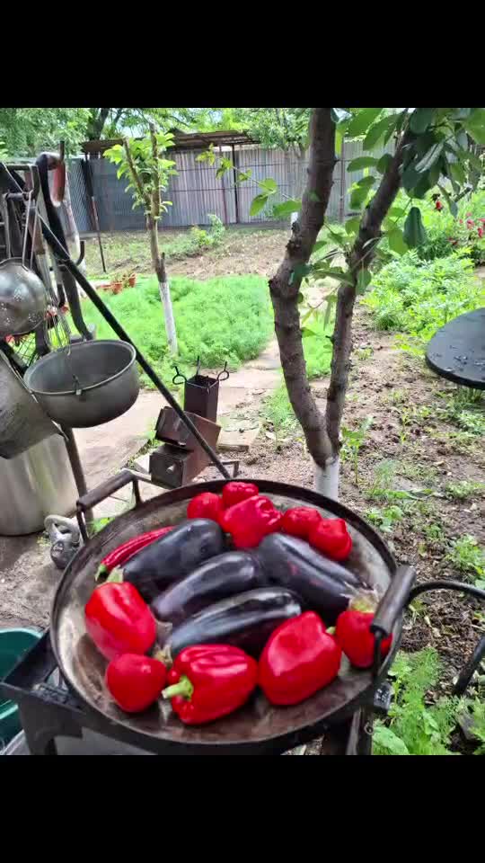 Prea bun, prea ca la țară! 🤗