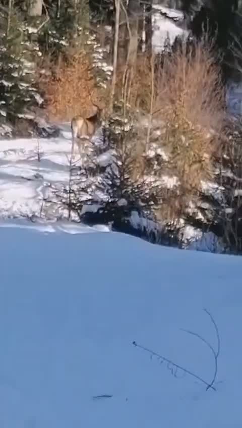😁