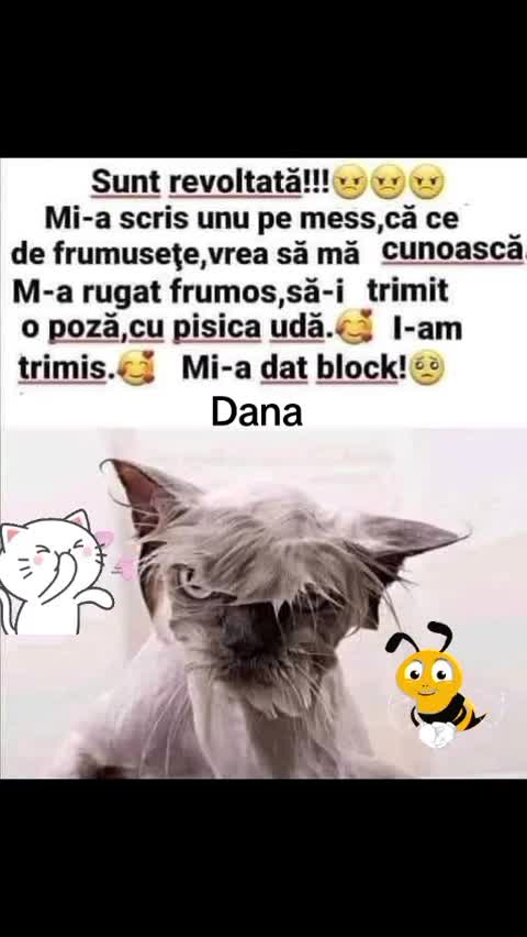 ma blocat 🤣🤣🤣