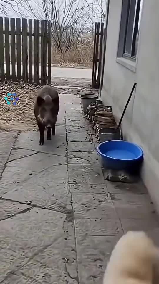 🤣🤣