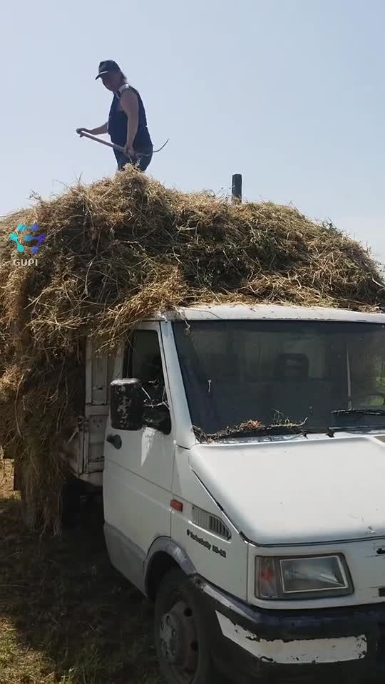 zi plăcută vă doresc!♥️♥️♥️