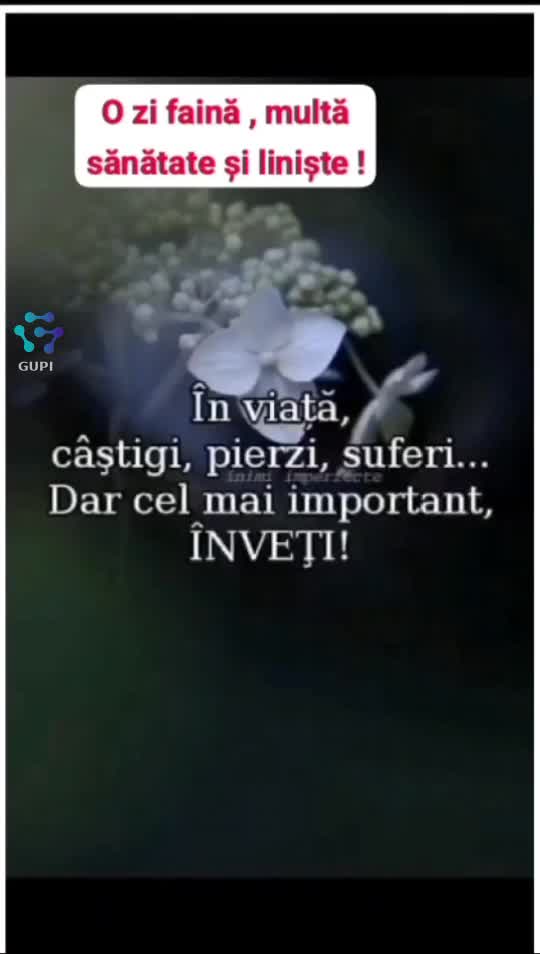 Neata!
