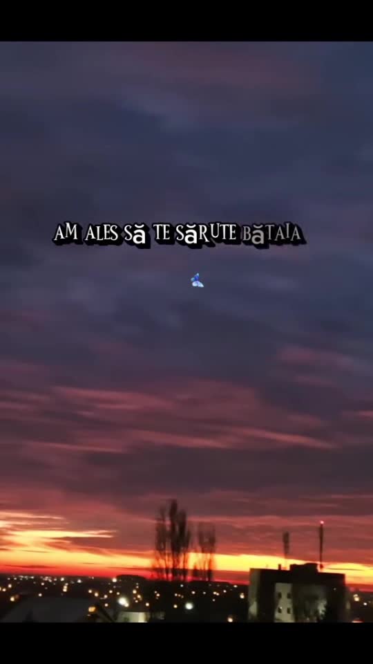 #🦋💙