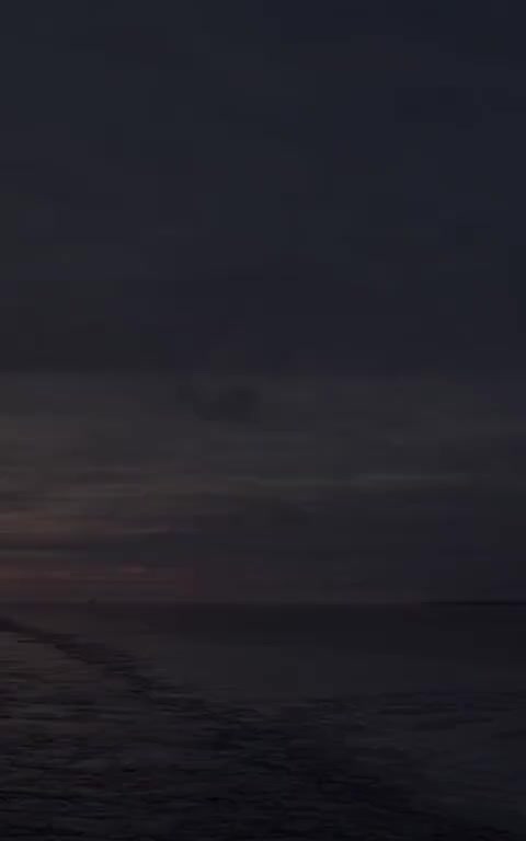 # 🦋 
🌊🚢