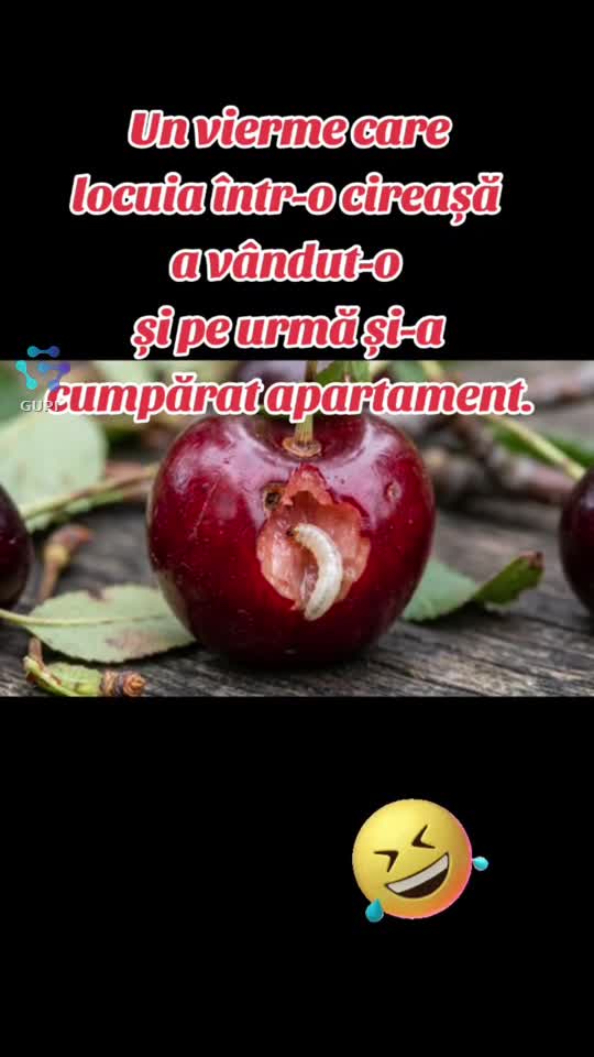 😁🤣🤣😁