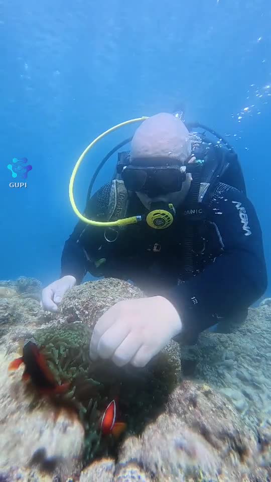 Foarte frumoasa experiență la scufundări , se merita sa plătești ca sa ai această experiență 🥰🥰🥰Va sugerez sa incercati asa ceva :)