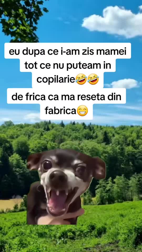 🤣🤣🤣