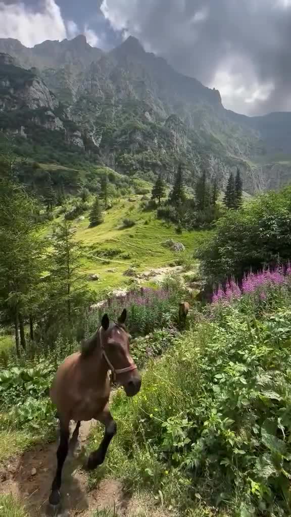 🇷🇴