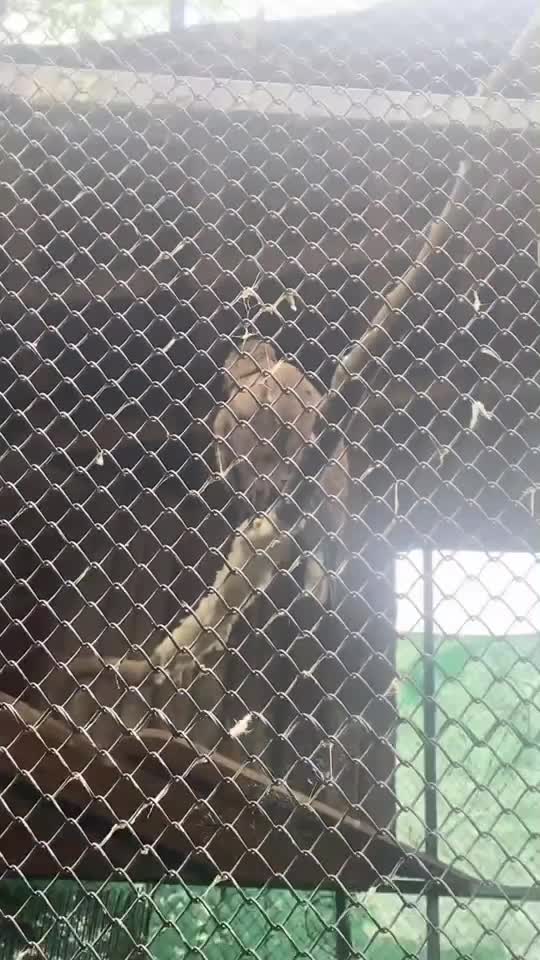 😍🥰❤️❤️❤️