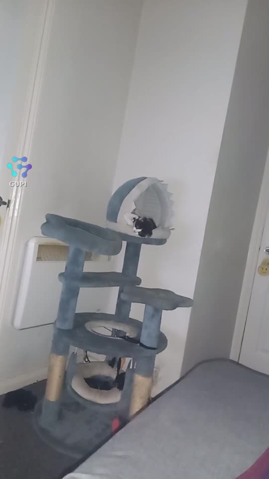 Ce faci, ești bine?