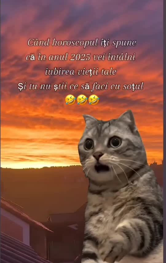 🤣🤣🤣🤣