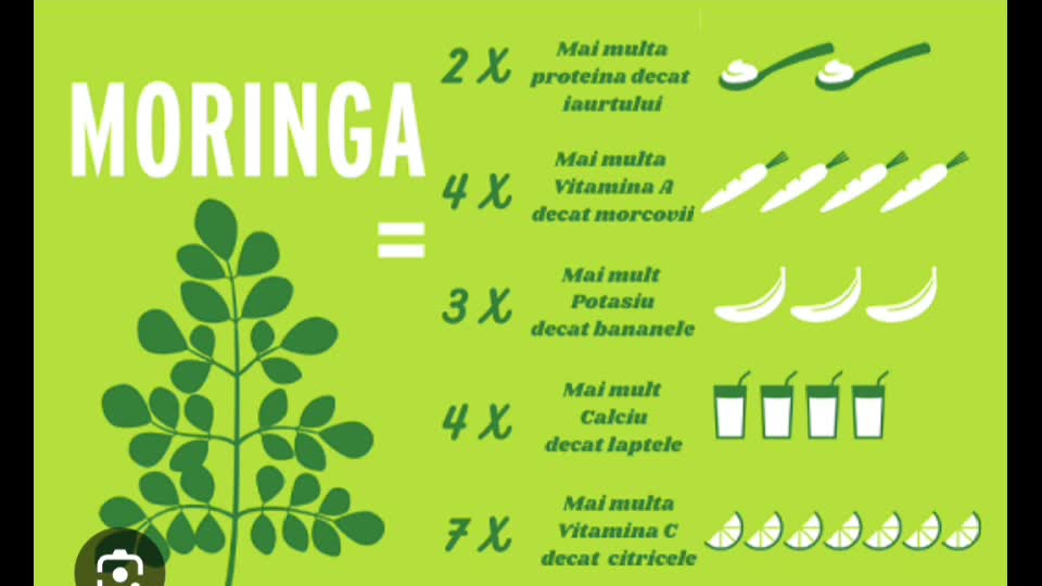 Moringa