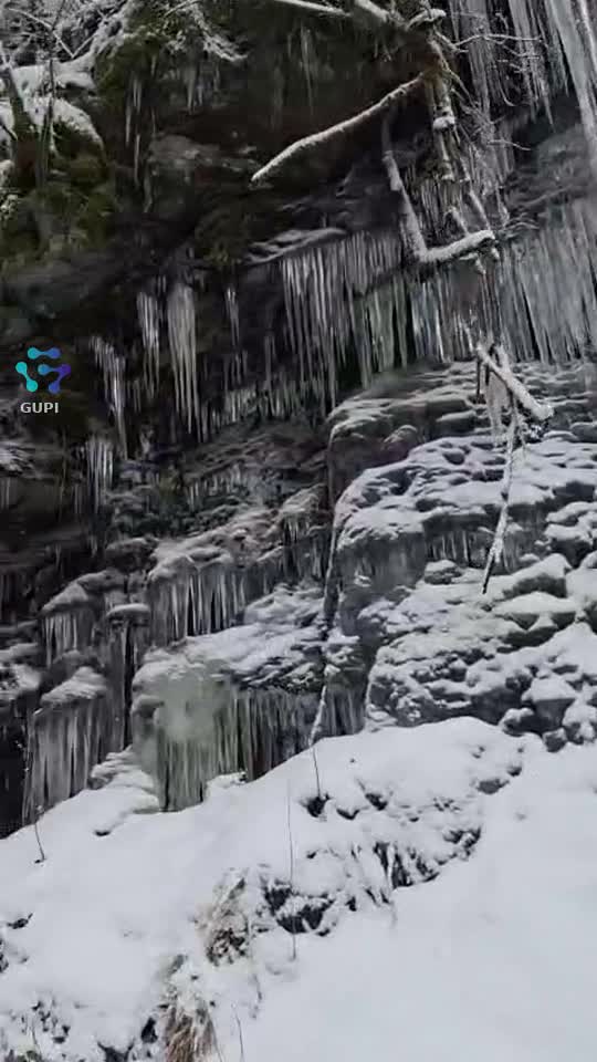 Video de @Cotroana