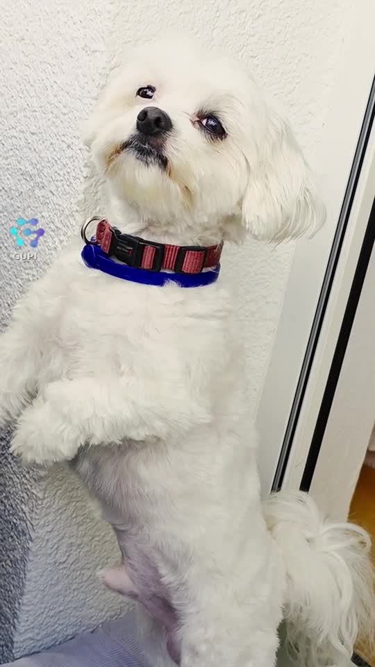 🥰