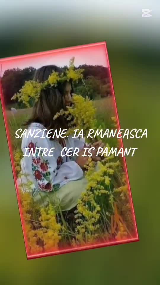 SANZIENE