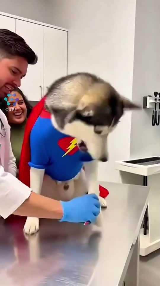 🤣🤣