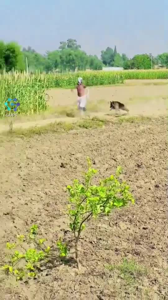 😄😄