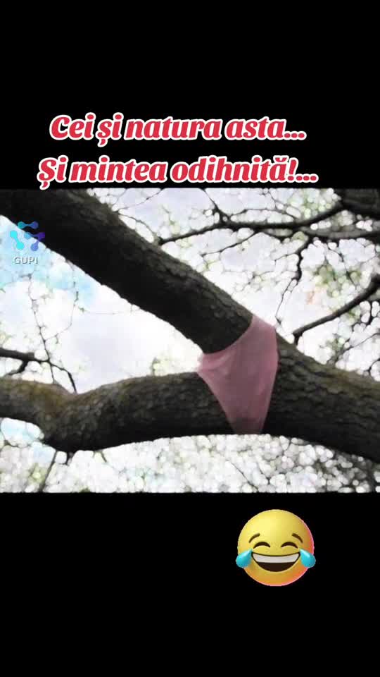 și natura asta...dar și mintea odihnită!...😂😂😂