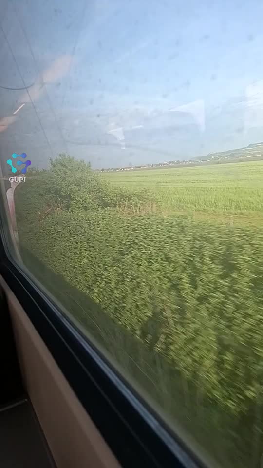 la plimbare