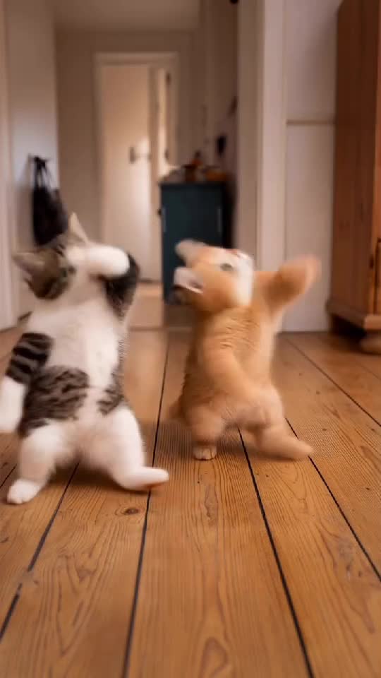 👍👋