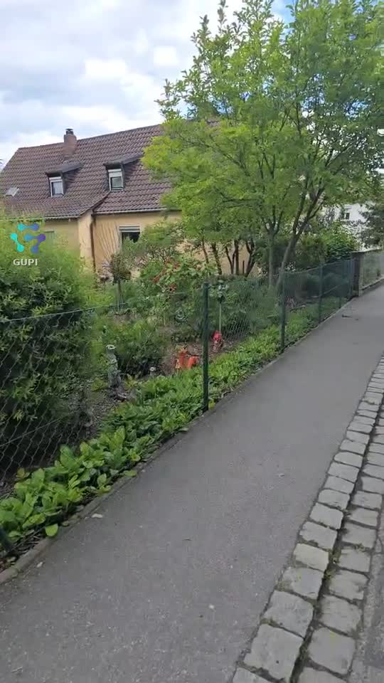 😜😜😜😜🌳🌳🌳☘️☘️☘️🌳🌳🌳😜😜😜