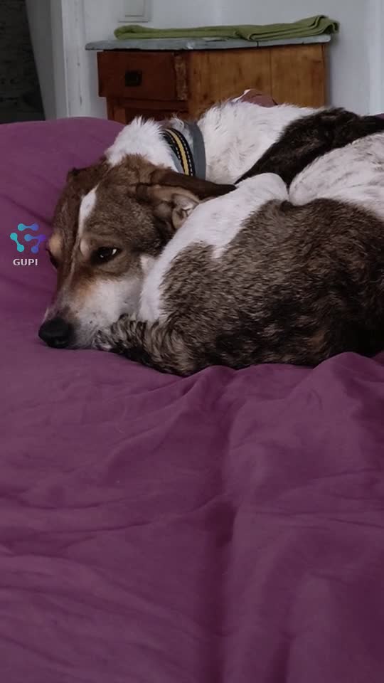♥️♥️♥️♥️