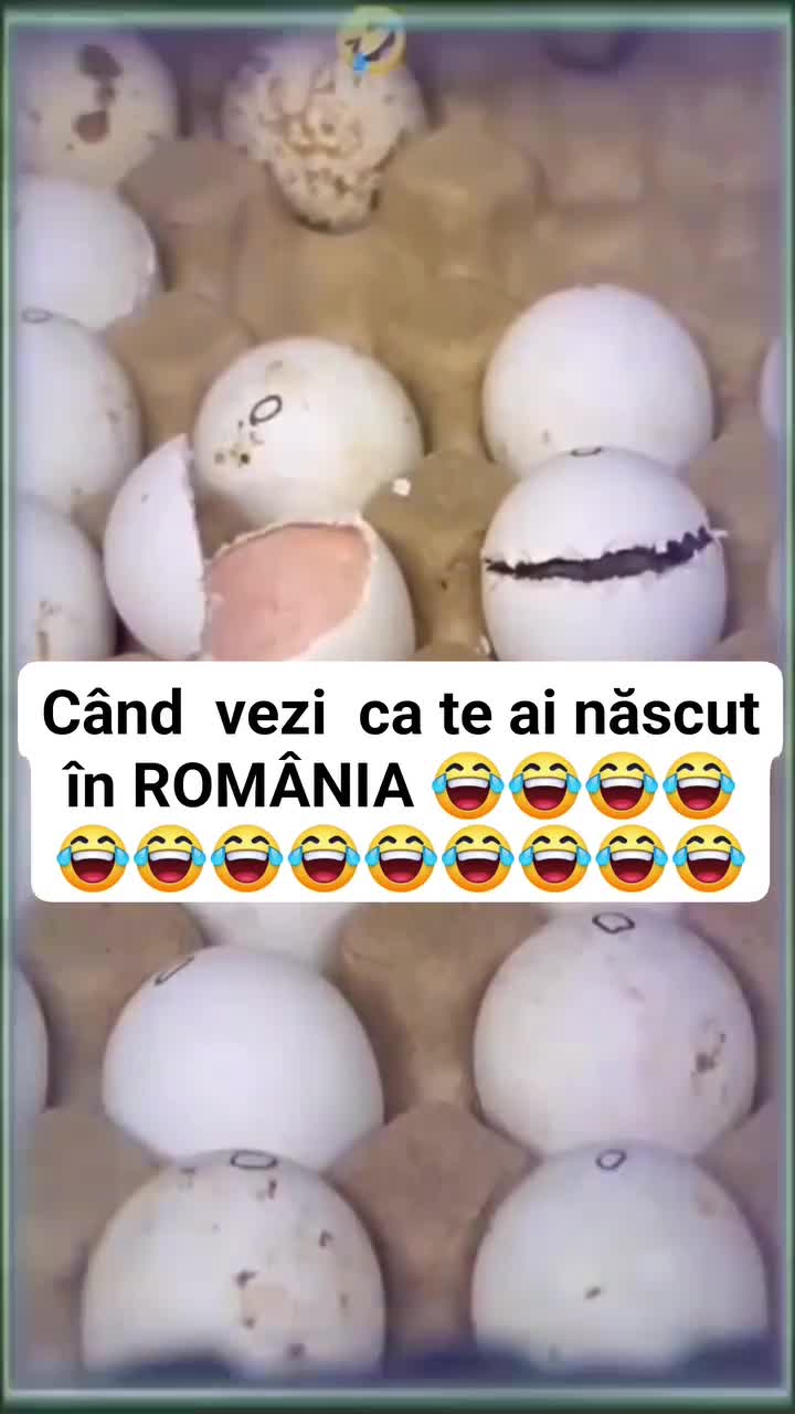 🤣🤣🤣