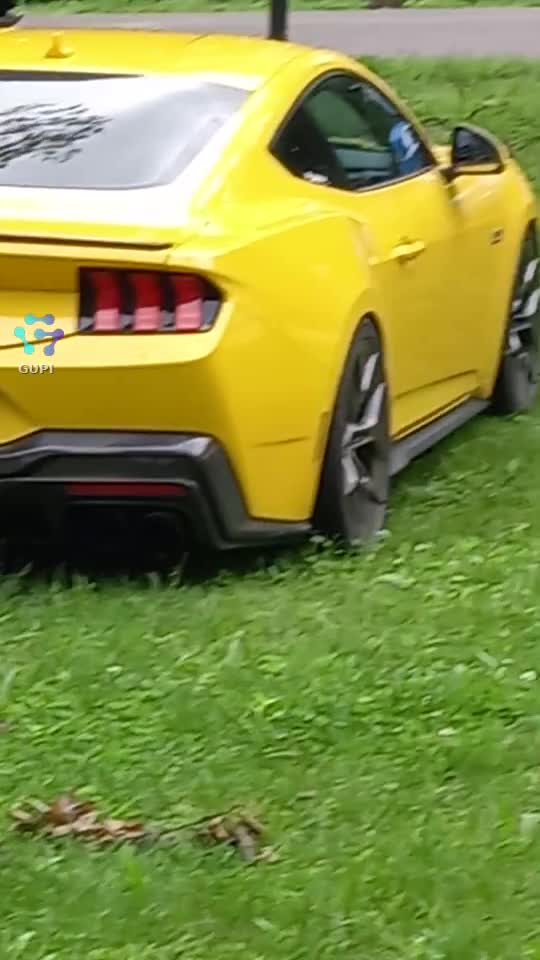 mașini ptr raliuri forta