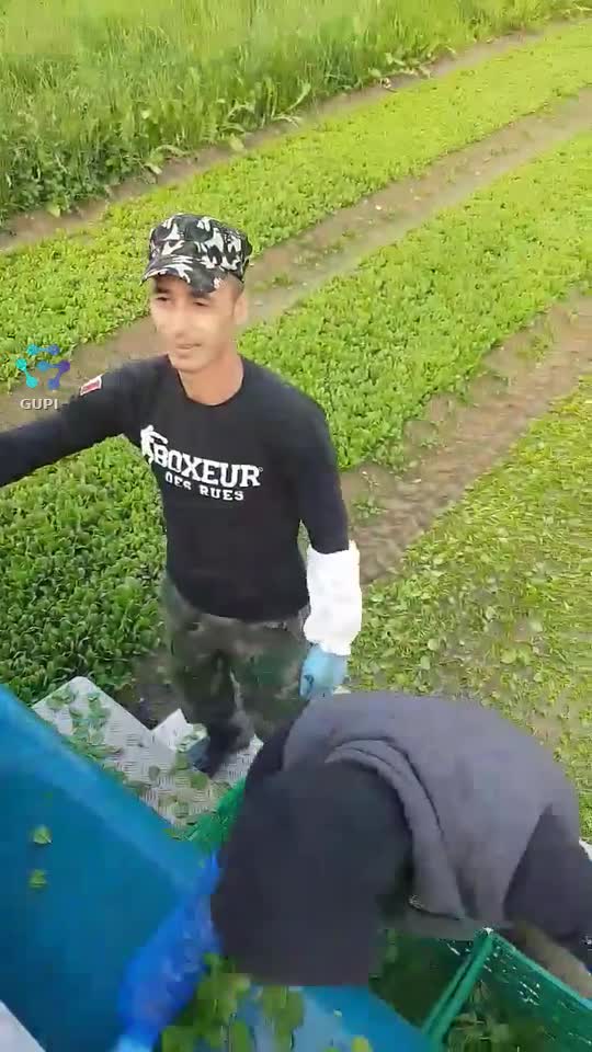 Video