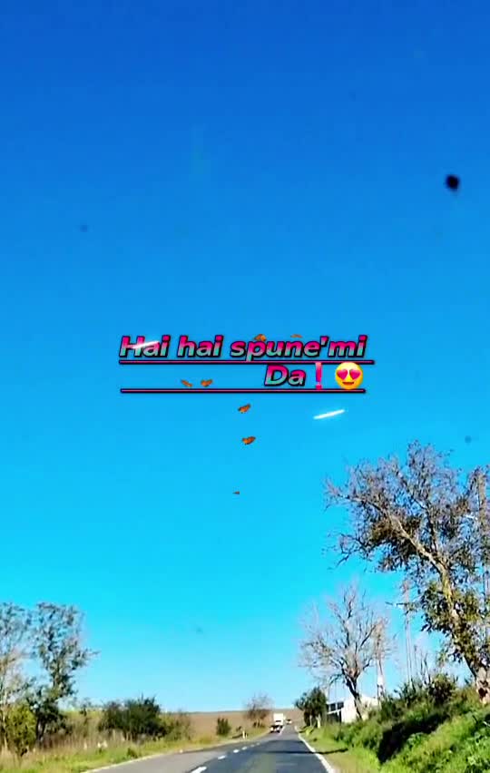 🦋 
 #❤️💙