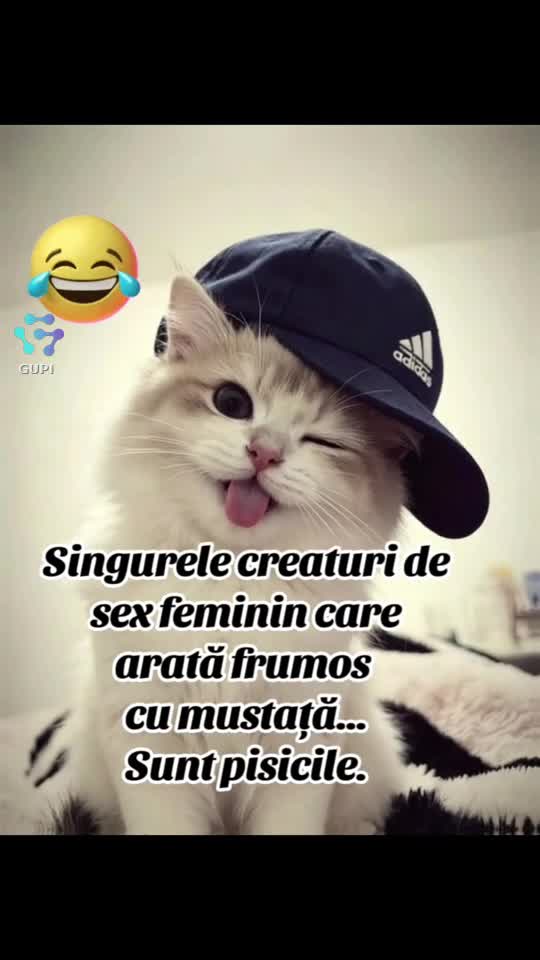 singurele care sunt frumoase cu mustață...😁😁😁