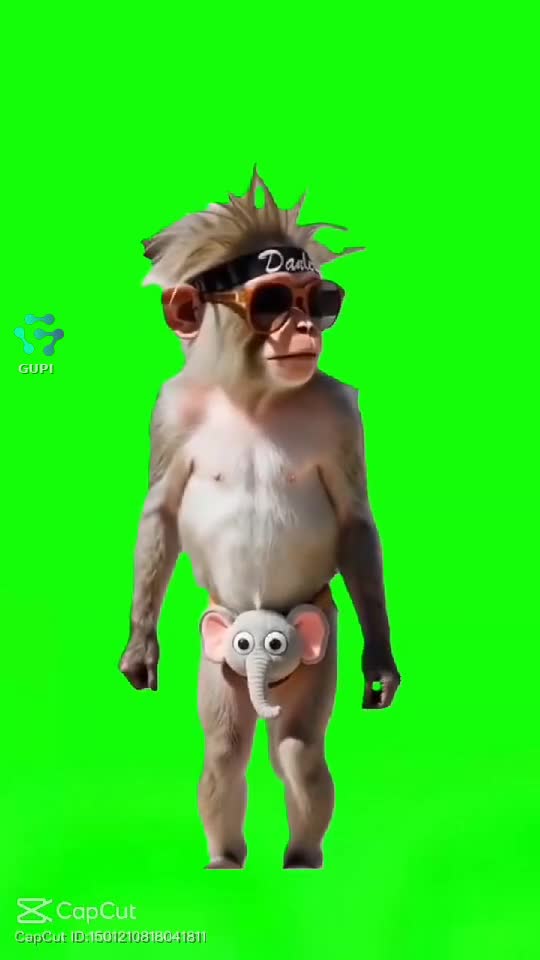 dans adevărat pentru voi🤣🤣🤣🤣