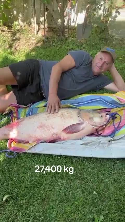 O zi frumoasă va doresc!!