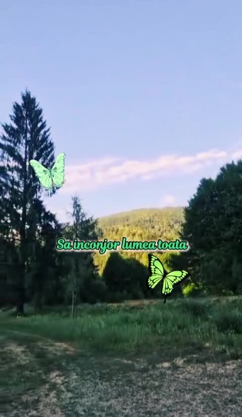 🦋 
 #❤️💙