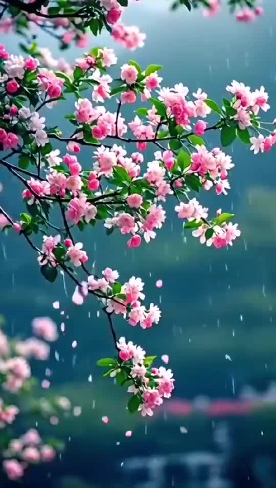 🏞🏝🏜⛰️
