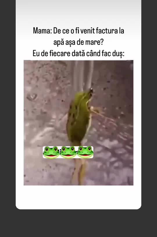 🤣🤣🤣