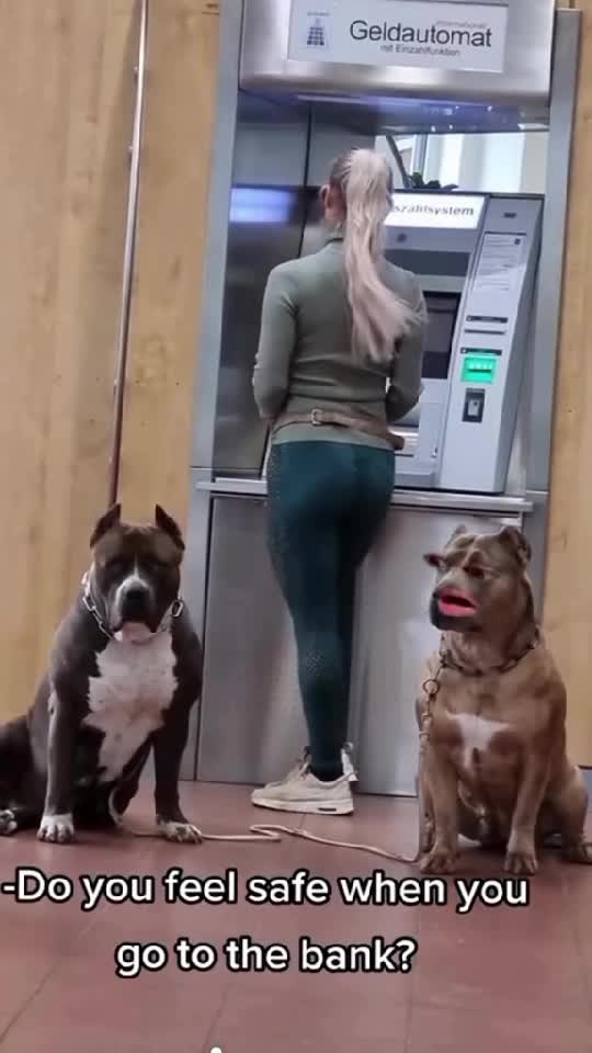 Caterinca a se trata ca Atare