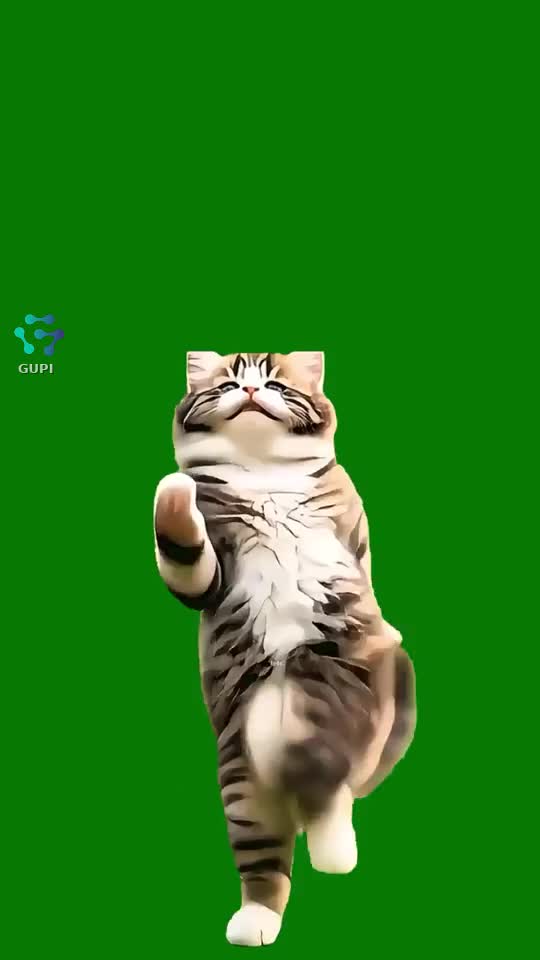 💃💃🤣